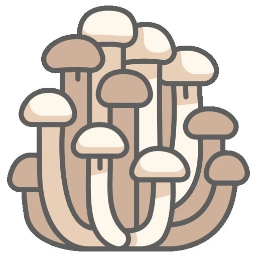 champignons3.jpg